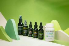 What Are the Best Natural Remedies for Common Pet Ailments?